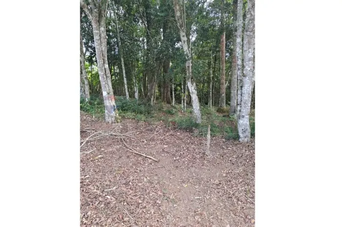 Terreno para chácara a Venda em Mogi das Cruzes Biritiba Ussu