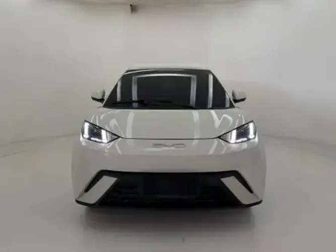 BYD Dolphin Mini (Elétrico) 2023