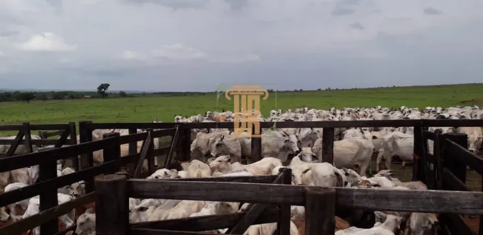 FAZENDA À VENDA REGIÃO DO MATO GROSSO DO SUL COM 1.122 HECTARES