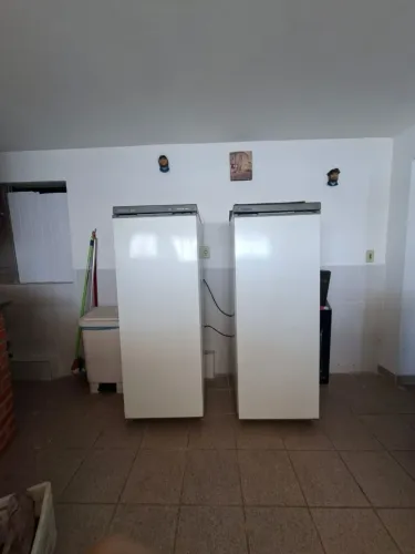 1 Geladeira e 1 Freezer F21 marca Prosdócimo 