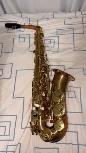 Saxofone Alto Vogga VSAS701 - Dourado Laqueado (Afinação Eb)