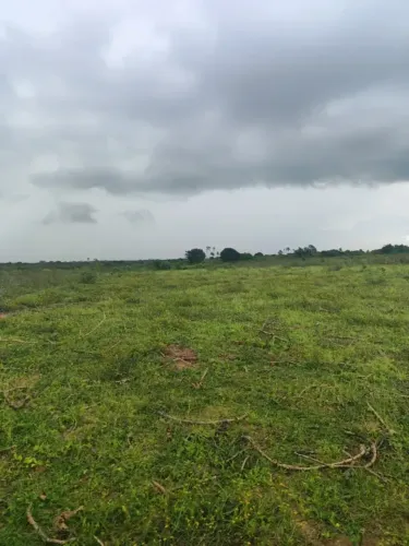Excelente fazenda com 285 hectares em santo Antônio do salto da onça