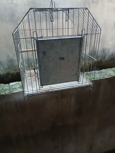 Gaiola para calopsita