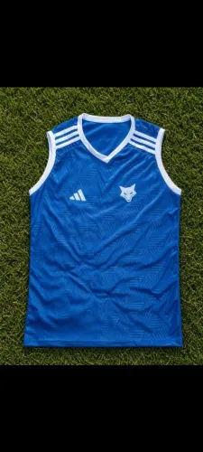 regata do cruzeiro