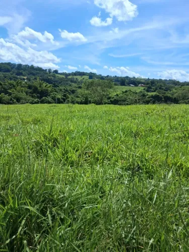 sitio em monte santo de minas 18 alqueires 2.000.000.00   ( m )
