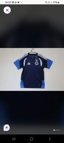 Camisa de time cruzeiro esporte clube  treino 2026 G