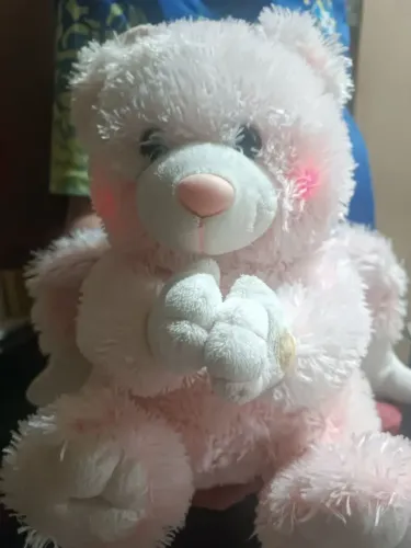 Urso de pelúcia que dá marca Buba ele acende a luz das Buchechas e ora o pai nosso a pilha