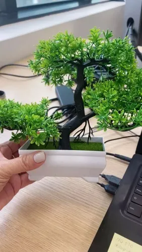 Bonsai Artificial Decorativo Novo