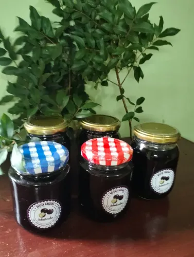 Geleia artesanal de jabuticabas 