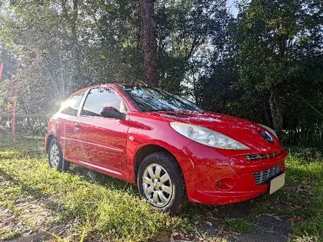 Peugeot 207 XR 1.4 Flex 8V 3P 2012