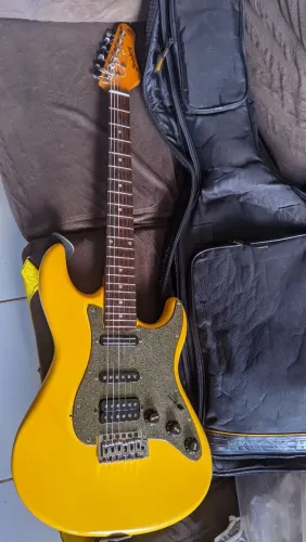 Guitarra Steinberg, cap, Malagoli e Fender