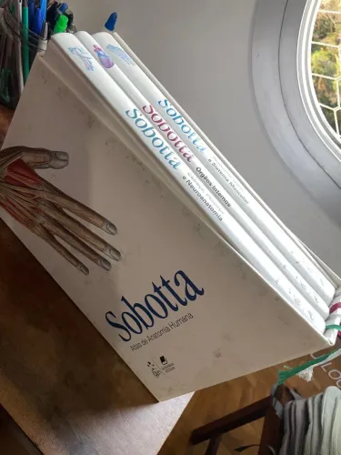 Sobotta - Atlas de Anatomia Humana (23ª edição) - coleção completa - R$ 420