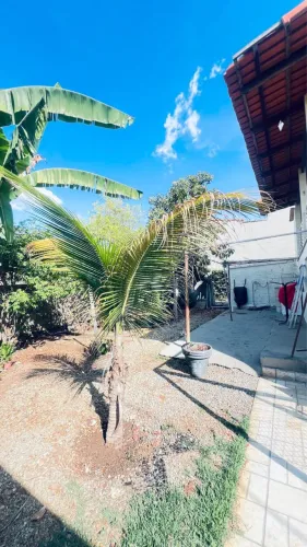 Casa independente, 1 quarto, sala, cozinha, banheiro e quintal com frutiferas.