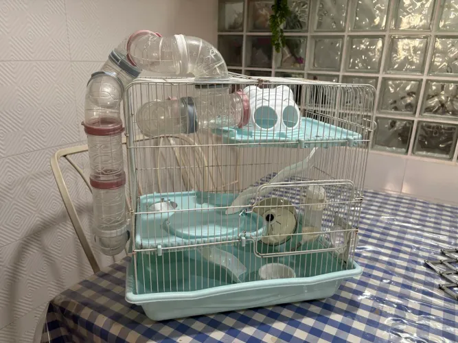 Gaiola casa hamster rato