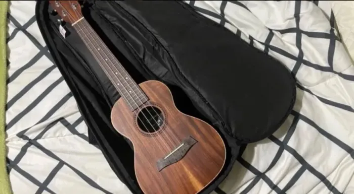 Ukulele Strinberg Uk16ce Koa Fosco Concert Elétrico