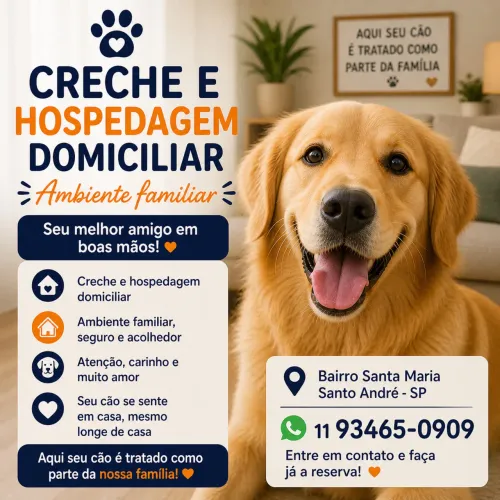 Hospedagem e Creche para cães