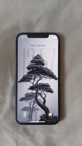 Vendo ou troco iPhone 12 em um 12 Pro Leia a descrição