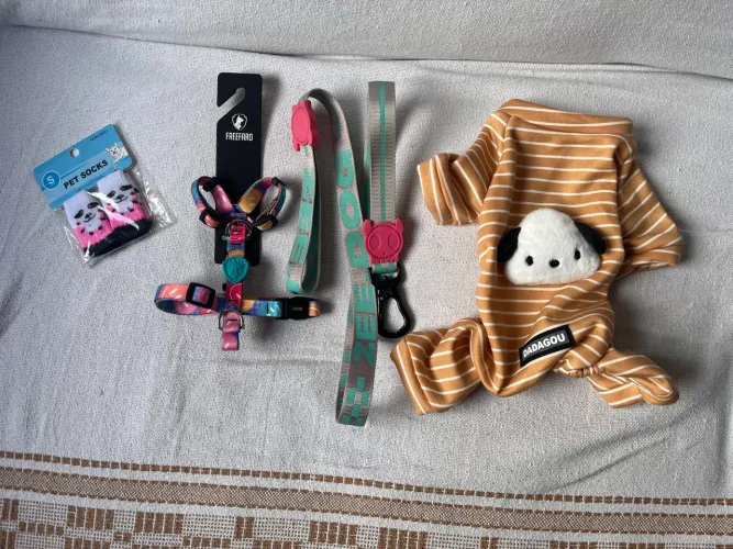 Acessórios Pet novos
