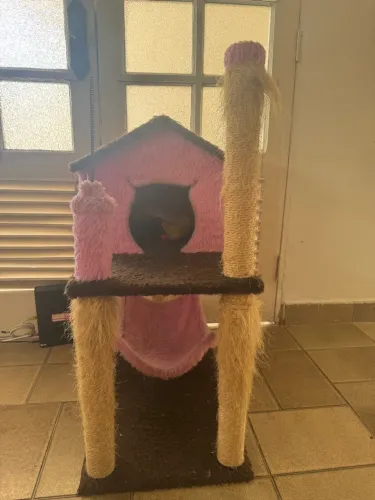 CASINHA ROSA COM REDE E ARRANHADOR PARA GATOS