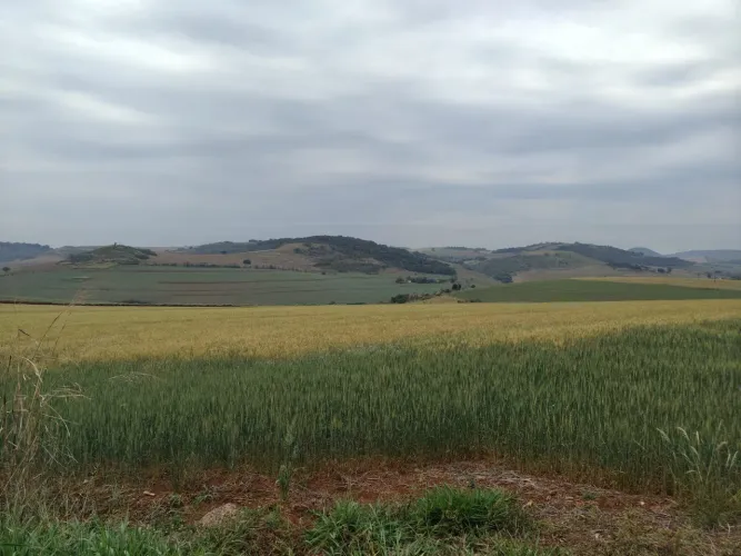 Sítio 50 alqueiro ótima localização em cima do asfalto