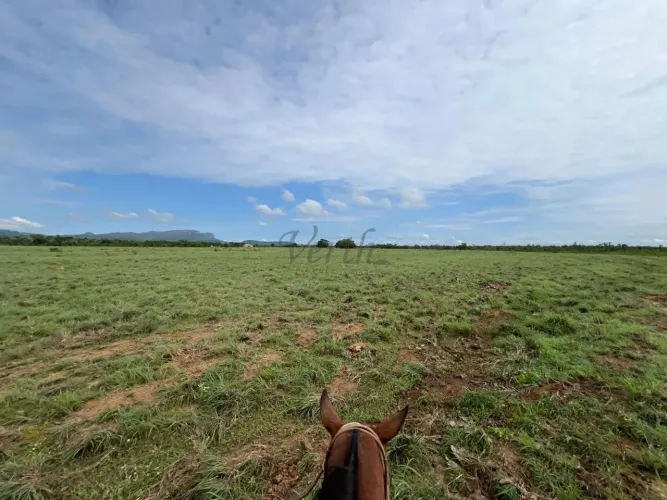FAZENDA PLANA À VENDA TOCANTINS | 3.640 ha de Alta Produtividade