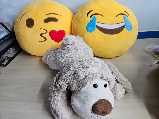Bicho pelúcia + 2 almofadas Emoji + 1 almofada Princesas