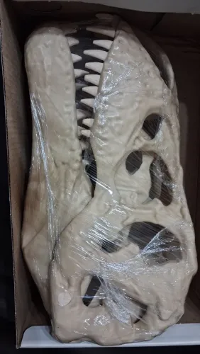 Crânio T Rex para Aquário