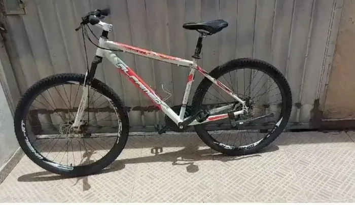 Bicicleta Alfameck aro 29