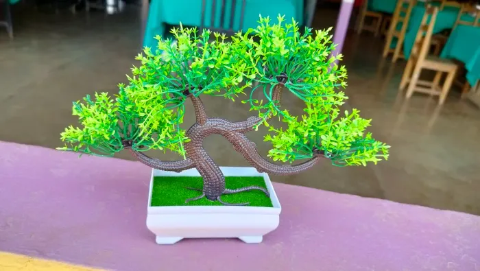 Bonsai Artificial
