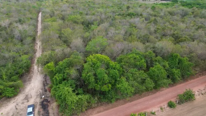 Propriedade Rural na zona Leste de Teresina-Pi