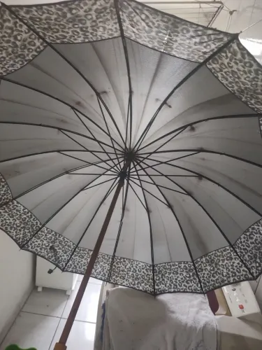 Lote de Guarda-Chuvas