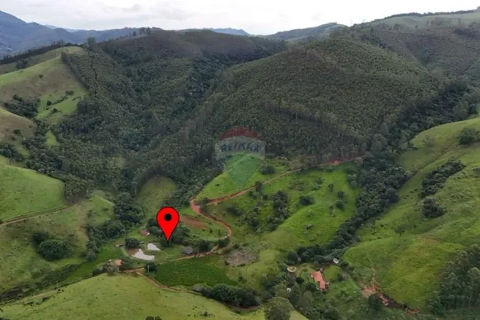 Fazenda Produtiva com 46 Alqueires de Eucalipto Próxima à Represa em Piracaia