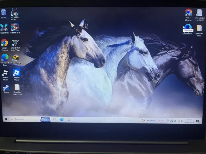 Notebook boom e20