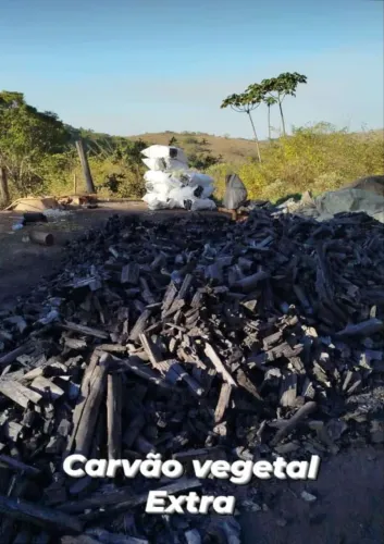 carvão vegetal para churrasco sacos grandes 