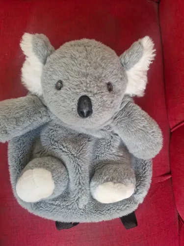 Mochila de coala