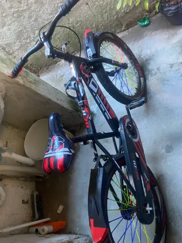 Bicicleta