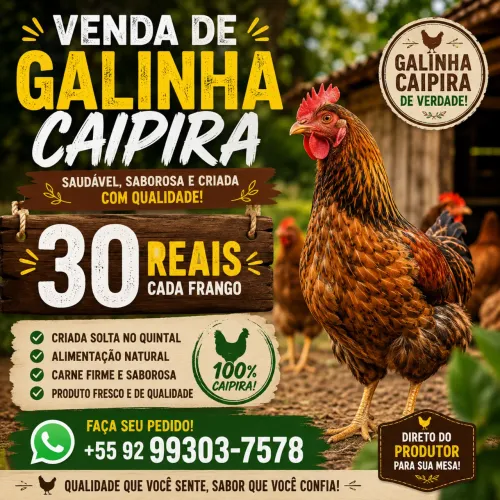 Venda de galinha caipira motivo viagem