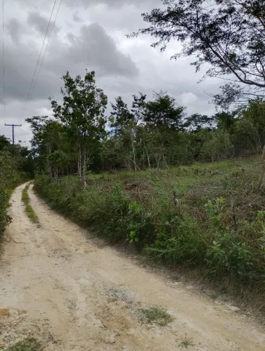 VENDO SITIO EM CATU/BA 
