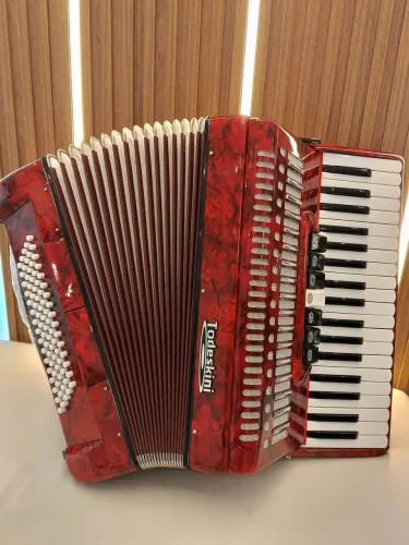 Acordeon/ Gaita/ Sanfona todeskini 80 baixos 