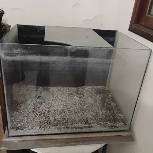 Aquário de 100 litros