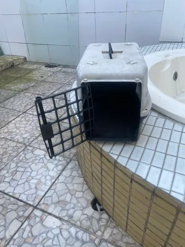 Casinha transporte de Pet de pequeno porte