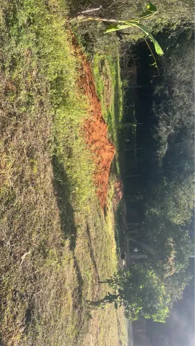Terreno 20x40