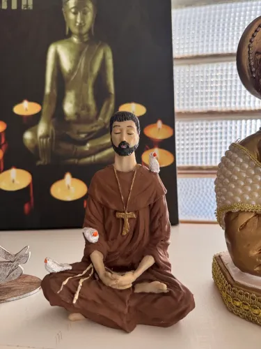 Linda imagem São Francisco de Assis Meditando