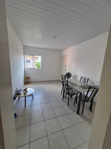 Mulher para dividir apartamento alugado