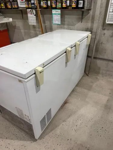 Freezer Horizontal Electrolux H500