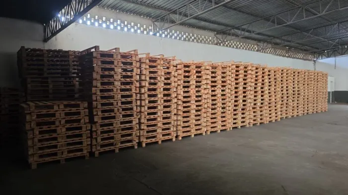Paletes PBR novos