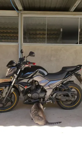 Dafra next 250cc