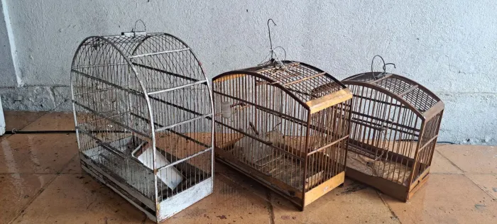 GAIOLAS