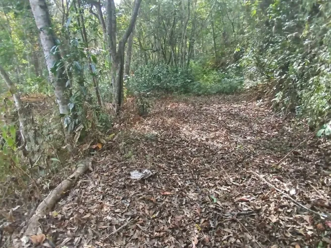 Terreno à venda, 19999 m² com nascente por R$ 230.000 - Freguesia da Escada - Guararema/SP