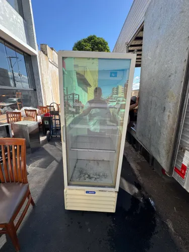 Freezer vertical metalfrio